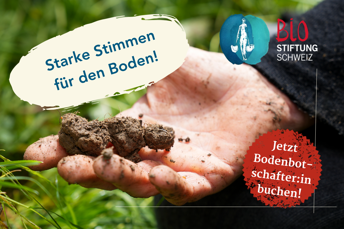 Starke Stimmen für den Boden